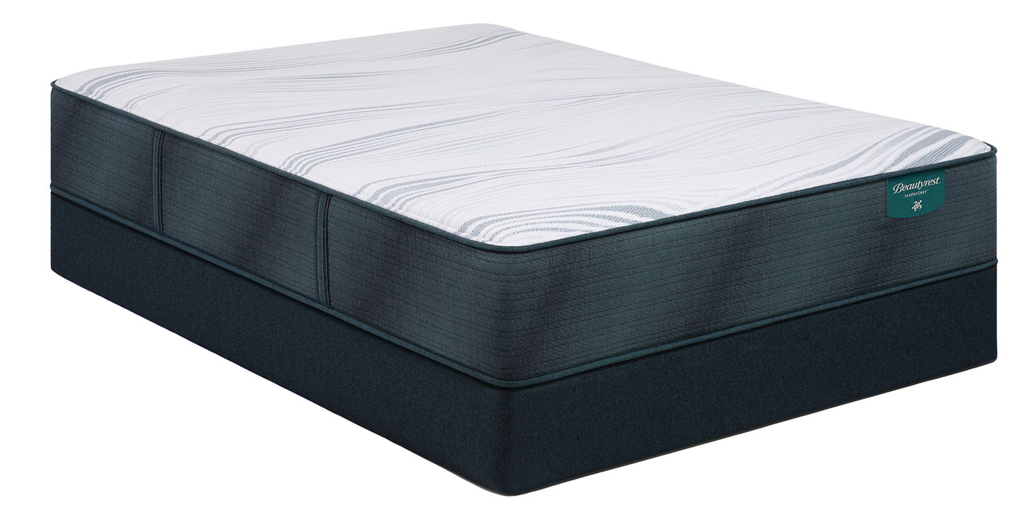 6/6 BR HAR CHANCE FALLSHY PLUSH TT MATTRESS