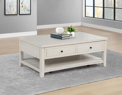 Payne - 48" Mobile Lift Top Coffee Table