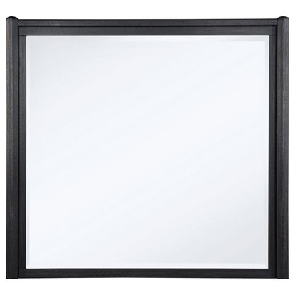 Leandro - Dresser Mirror - Burnished Black